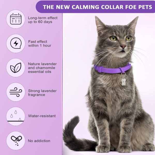 Weewooday 5 Set Calming Collar for Cats Adjustable Waterproof Cat Calming Collars Reduce Anxiety Stress Cat Collars with 5 Pet ID Pendants (Purple) - Image 5