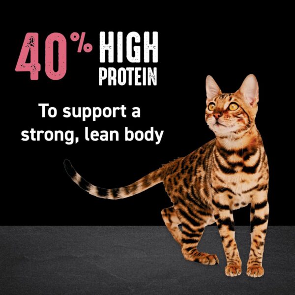 CRAVE Grain Free Indoor Adult High Protein Natural Dry Cat Food with Protein from Chicken & Salmon, 10 lb. Bag - Image 4