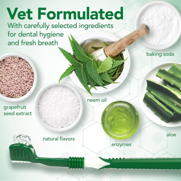 Vet's Best Dog Toothbrush & Toothpaste Kit - Natural Ingredients Reduce Plaque, Whiten Teeth, Freshen Breath - Image 3