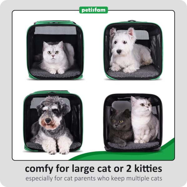 petisfam Easy Load Pet Carrier Bag for Medium or Large Cats with Durable Double-thickness Fabric and Stable Structure. Black w/Green Trim, L - Image 5