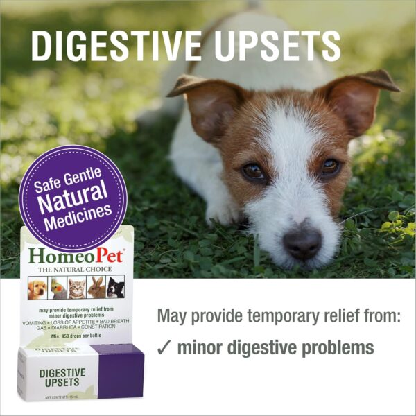 HomeoPet Digestive Upsets, Natural Pet Digestive Support, Digestive Supplement for Dogs, Cats, and Small Pets, 15 Milliliters - Image 2