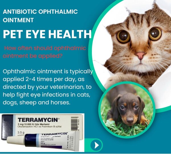 Otto Tech Pet Eye Health Ointment for Dogs, Cats, Cattle, Sheep, Horse, Bird 1/8 oz /3.5gr - 1 tube - Image 6