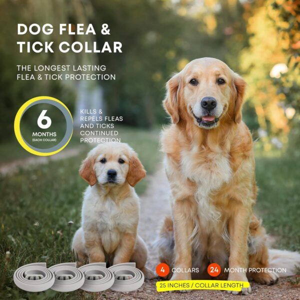 Dog Flea Tick Prevention Collar: Effective Flea Collar and Prevention for Dogs - Safe Dog Ticks Fleas Collars - Reliable Tick Flea Collars for Dogs - 24 Month Protection 4-Pack - Image 4