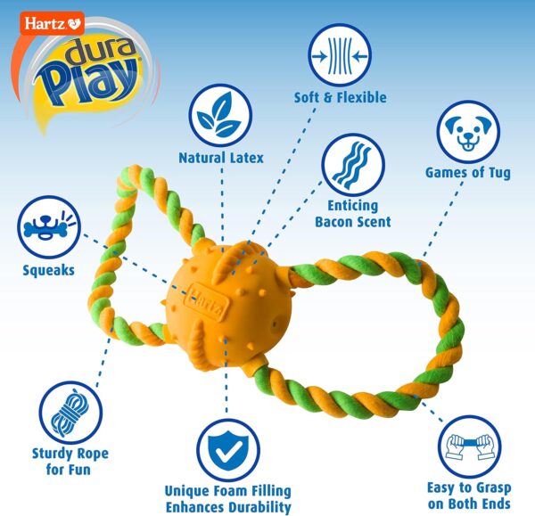 Hartz DuraPlay Bacon Scented Dog Toys, Medium/Large for All Breed Sizes - Image 2