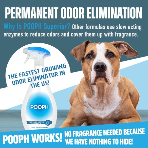 Pooph Pet Odor Eliminator, 32oz Spray - Dismantles Odors on a Molecular Basis, Dogs, Cats, Freshener, Urine, Poop, Pee, Deodorizer, Natures, Puppy, Fresh, Clean, Furniture, Potty, Safe - Image 4