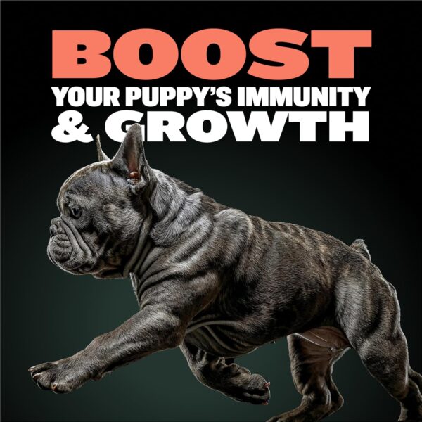 Bully Max 2-in-1 Puppy Soft Chews for Immunity & Growth - Puppy Dog Food Supplements and Vitamins for Health & Immune Support - Essential Dog Multivitamin for All Breeds, Small & Large Breed Puppies - Image 3