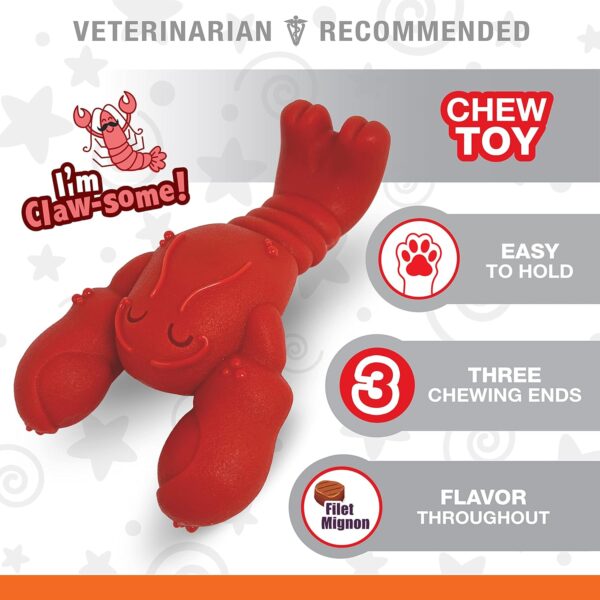 NYLABONE Lobster Dog Toy Power Chew – Cute Dog Toys for Aggressive Chewers – with a Funny Twist! Filet Mignon Flavor, Small/Regular - Image 3