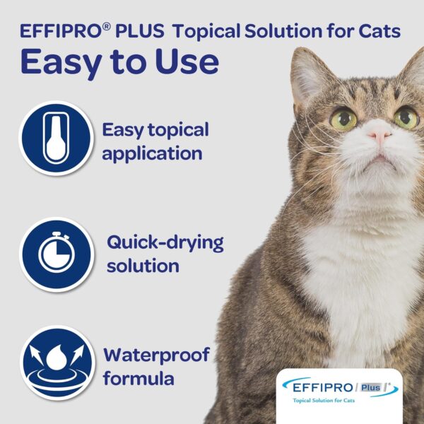 Virbac Effipro PLUS Topical Solution For Cats, 3 Month Supply - Image 6