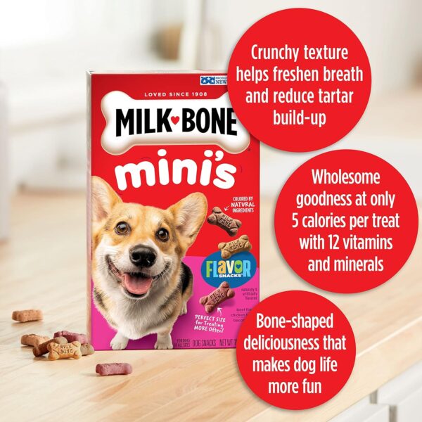 Milk-Bone Mini's Flavor Snacks Dog Treats, 36 Ounce Crunchy Texture Helps Reduce Tartar - Image 5