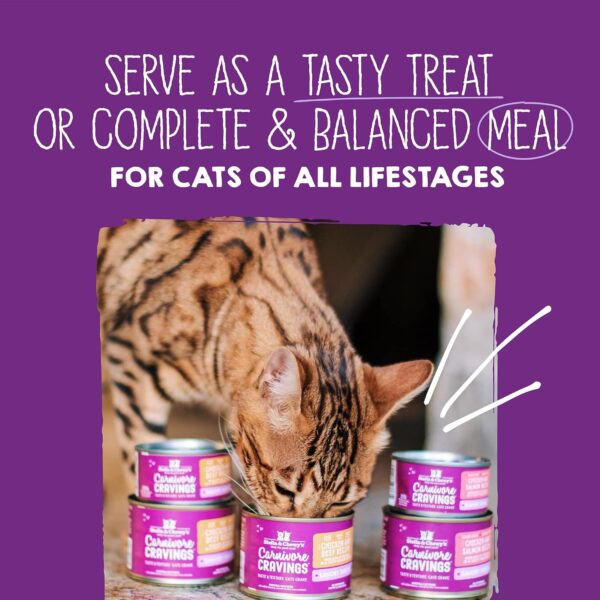 Stella & Chewy’s Carnivore Cravings Savory Shreds Canned Wet Cat Food Variety Pack – (2.8 Ounce Cans, Case of 12) - Image 6