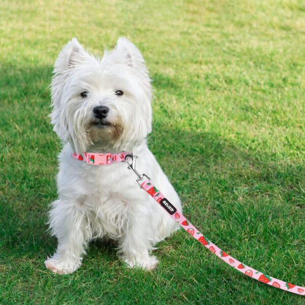 azuza Dog Collar and Leash Set Strawberry Pattern on Pink Nylon Collar and Matching Leash, Great Option for Small Dogs - Image 8