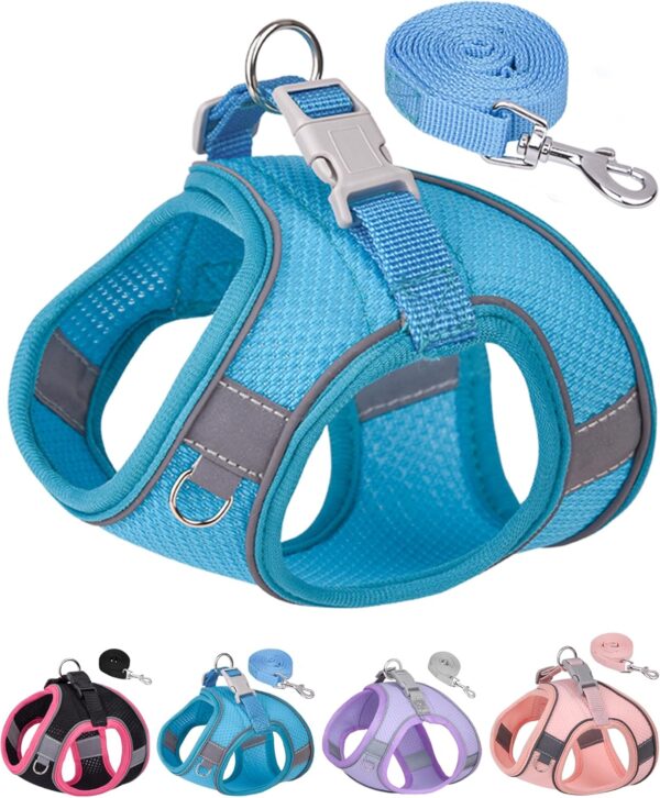 Dog Harness for Small Medium Sized Dog, Puppy Harness and Leash Set Training, Dog Harness and Leash Set, Dog Vest Harness, Dog Harness Small Sized Dog, Small Dog Harness. (Blue, XXS)