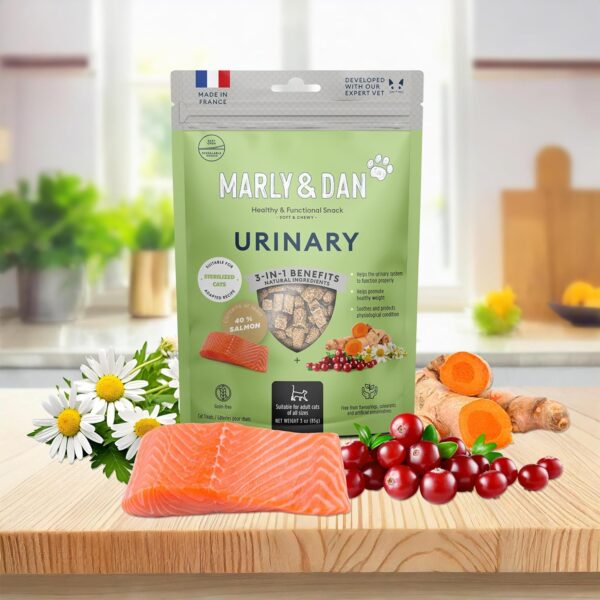 Marly & Dan Salmon Treats for Cats with Brewers Yeast & Green Tea, Urinary Recipe - Image 5