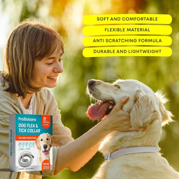 Dog Flea Tick Prevention Collar: Effective Flea Collar and Prevention for Dogs - Safe Dog Ticks Fleas Collars - Reliable Tick Flea Collars for Dogs - 24 Month Protection 4-Pack - Image 6