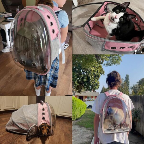 Cat Backpack Carrier,Expandable Pet Bubble Backpack Airline Approved, Pet Travel Carrying Bag for Small Medium Cats and Puppy with Hiking Walking Outdoor Use - Image 4