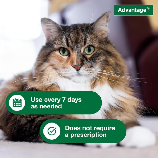 Advantage Cat Flea & Tick Shampoo for Kittens & Adult Cats | Kills Fleas & Ticks | 8 oz. - Image 5