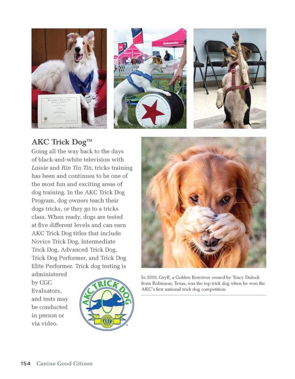 Canine Good Citizen: The Official AKC Guide, 2nd Edition: Ten Essential Skills Every Well-Mannered Dog Should Know (CompanionHouse) How to Train, Practice, and Pass the American Kennel Club's CGC Test - Image 7