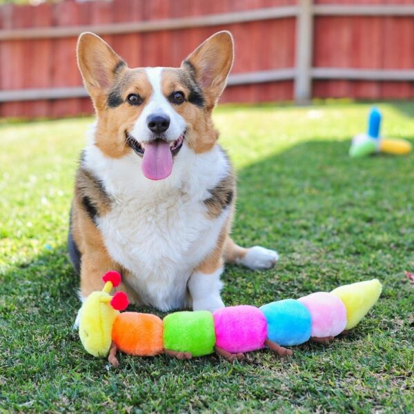 ZippyPaws - Colorful Caterpillar Dog Toy, Rainbow Dog Toy with Squeakers, Plush Dog Toys for Aggressive Chewers, Summer Dog Toys, Rainbow Dog Pride Accessories - Image 6