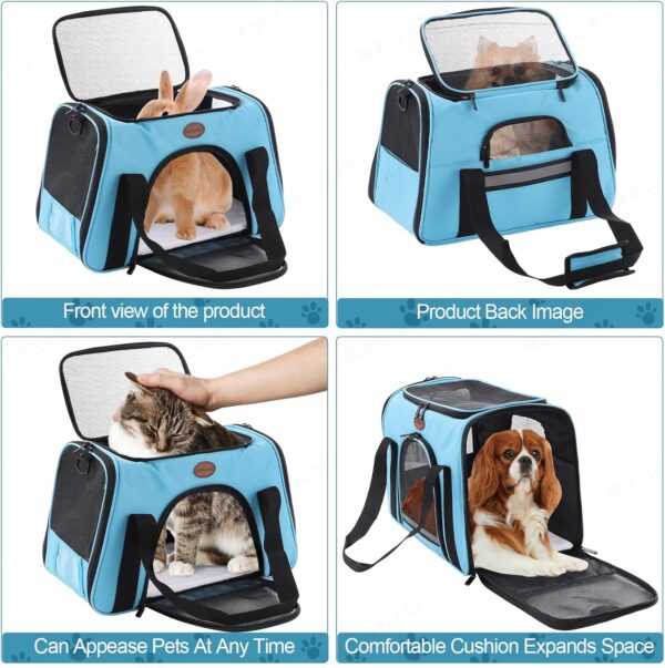 Cat Carrier Dog Carrier Pet Carriers for Medium Small Cats Dogs Puppies up to 25 Lbs,TSA Airline Approved Small Dog Cat Carriers Soft Sided,Collapsible Travel Puppy Carrier (Blue, Large) - Image 5