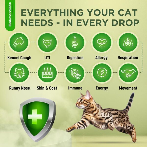 Natural Antibiotics for Cats | Cat Antibiotics | Supports Cat Allergy Relief | Cat Itch Relief | Cat Allergy Support | Cat Multivitamin | Pet Antibiotics | Cat Antibiotics | 2 Oz - Image 2