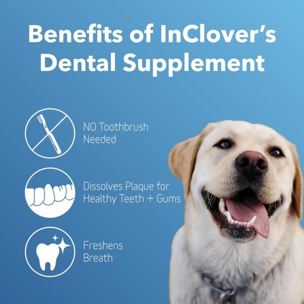 In Clover Dental Health Powder for Dogs and Cats, Natural Pet Supplement, BioBrilliant Dog and Cat Teeth Treat, Helps Dental Health, Daily Supplement for Pets, Natural Whey Goat Milk, Sweeten Breath - Image 3