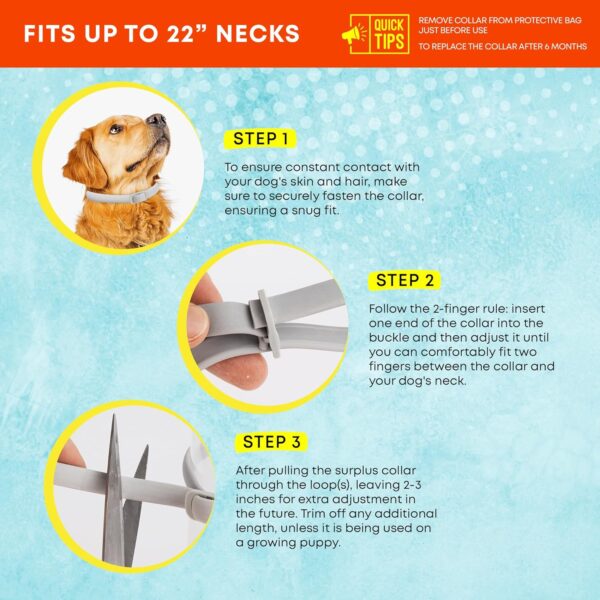 Dog Flea Tick Prevention Collar: Effective Flea Collar and Prevention for Dogs - Safe Dog Ticks Fleas Collars - Reliable Tick Flea Collars for Dogs - 24 Month Protection 4-Pack - Image 7