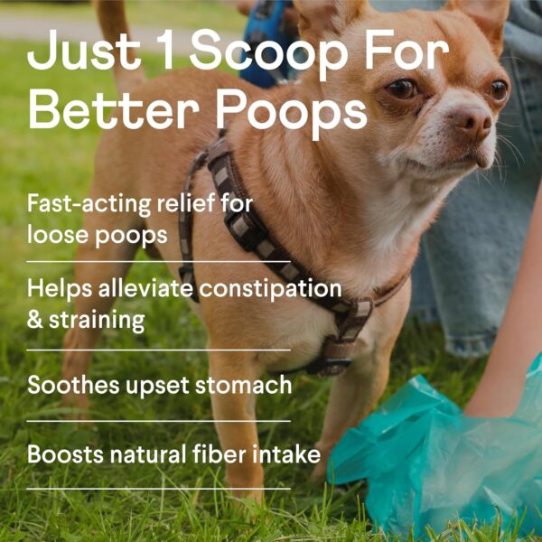 Finn Pumpkin Plus: Fast-Acting Digestive Relief for Loose Stool, Constipation, and Sensitive Stomachs | Superfood Meal Topper Powder for Dogs - Image 2
