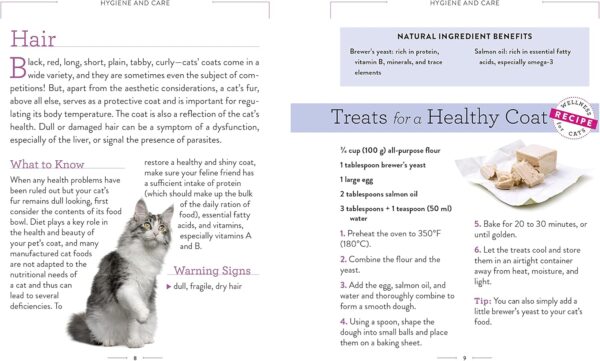 Wellness for Cats: A Guide for Health, Hygiene, and Happiness - Image 2