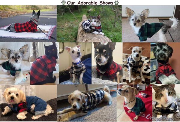 Dog Shirt Plaid Puppy Clothes for Small Medium Large Dogs Cats Boy Girl Kitten Soft Pet T-Shirt Breathable Tee Outfit Adorable Grid Apparel Halloween Thanksgiving [Blue#1; M] - Image 6