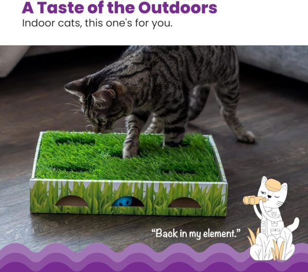 Catstages Grass Patch Hunting Box Cat Toy - Image 2