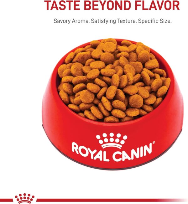 Royal Canin Medium Breed Adult Dry Dog Food, 30 lb bag - Image 9