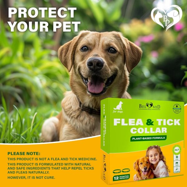 Natural Flea & Tick Collar for Dogs - 6 Months Control of Best Prevention & Safe Treatment - Anti Fleas and Ticks Essential Oil Repellent (1 Pack, 2 Count) - Image 8