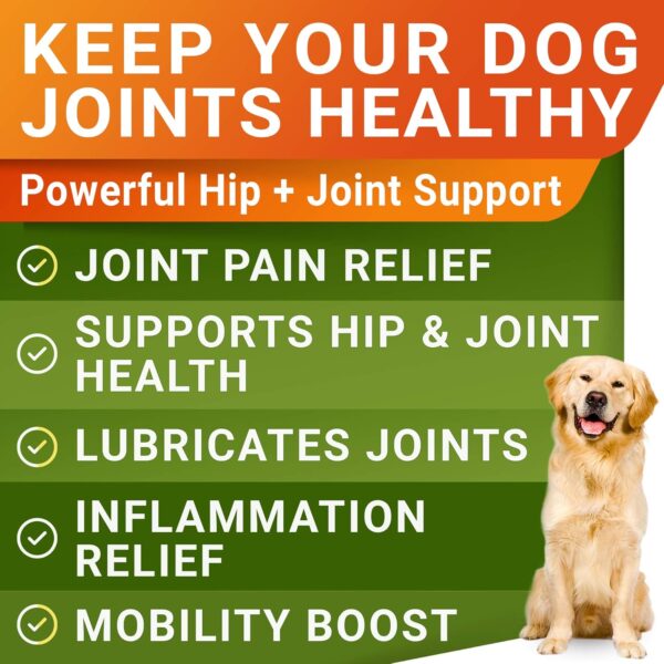 Glucosamine Treats for Dogs - Joint Supplement w/Omega-3 Fish Oil - Chondroitin, MSM - Advanced Mobility Chews - Joint Pain Relief - Hip & Joint Care - Chicken Flavor - 120 Ct - Made in USA - Image 3