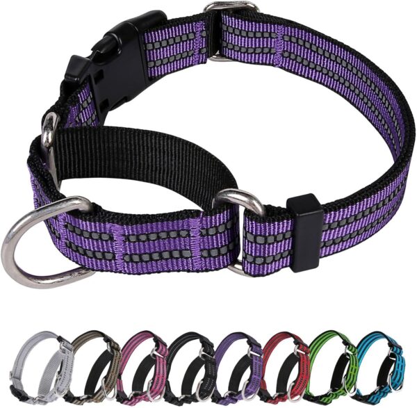 Martingale Dog Collar, Adjustable Nylon Reflective Collar with Buckle. No Pull -for Small, Medium, Large Dogs. Prevents Slipping Out-Helps with Strong pullers-Increase Control (Purple M)