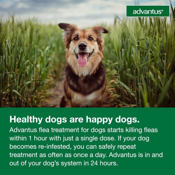 Dog Advantus Chewable Flea Treatment for Dogs 4 - 22 lbs. | 7 ct. - Image 7