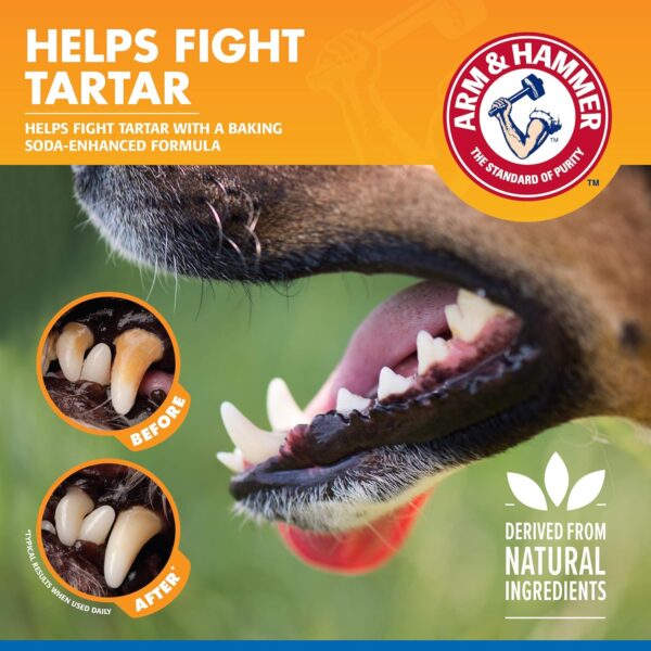 Arm & Hammer for Pets Dental Water Additive for Dogs, Tartar Control | Dog Dental Care Reduces Plaque & Tartar Buildup Without Brushing | 16 Fl Oz (Pack of 1), Odorless and Flavorless - Image 5