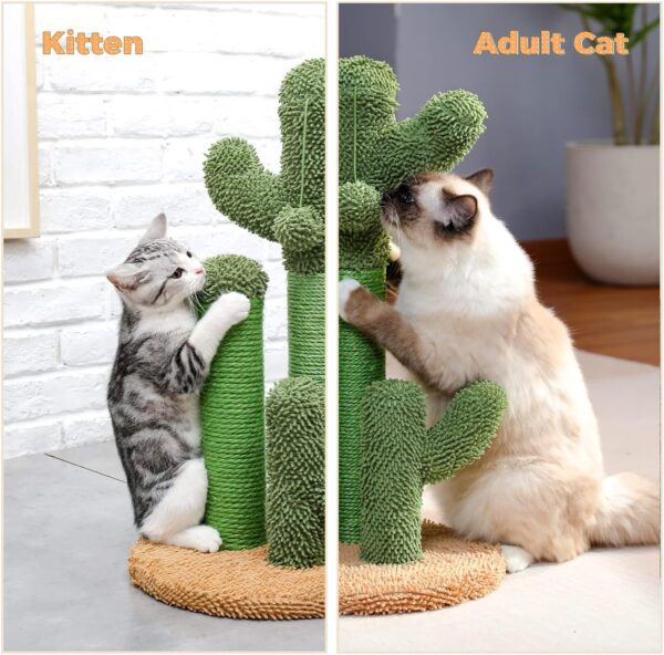 PAWZ Road Cat Scratching Post Cactus Cat Scratcher Featuring with 3 Scratching Poles and Interactive Dangling Ball -Medium 23 Inches - Image 5