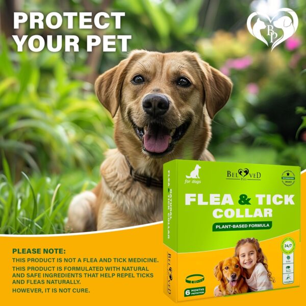 Natural Flea & Tick Collar for Dogs - 6 Months Control of Best Prevention & Safe Treatment - Anti Fleas and Ticks Essential Oil Repellent (1 Count (Pack of 1)) - Image 8