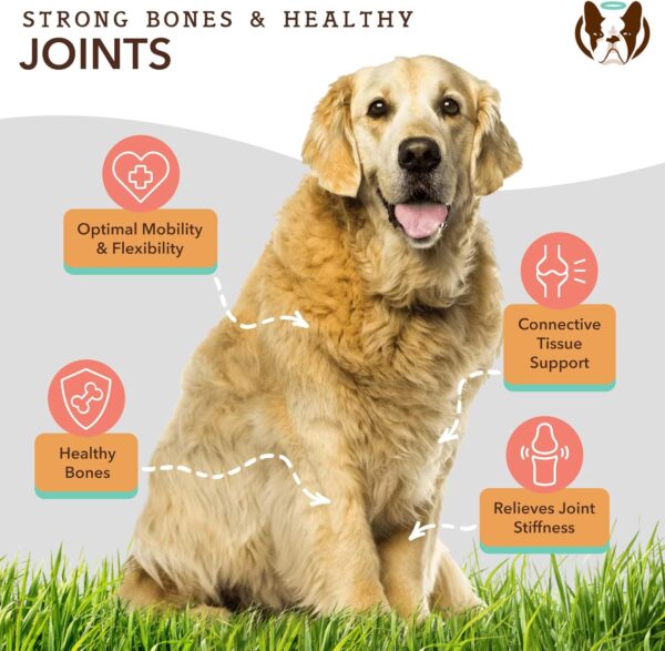 Natural Dog Company Liquid Glucosamine Hip & Joint Oil for Dogs, 16 oz, Extra Strength Cartilage and Joint Support, Helps Mobility and Eases Occasional Stiffness, Dog Vitamins and Supplements - Image 3