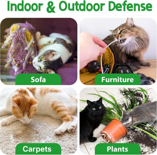 Cat Deterrent Spray. Cat Repellent Indoor for Cat and Kitten. No Scratch Spray for Cats. Effective Cat Scratch Deterrent Training Aid for Furniture, Curtains, Sofas, Plants, Indoor & Outdoor. 120ML - Image 4