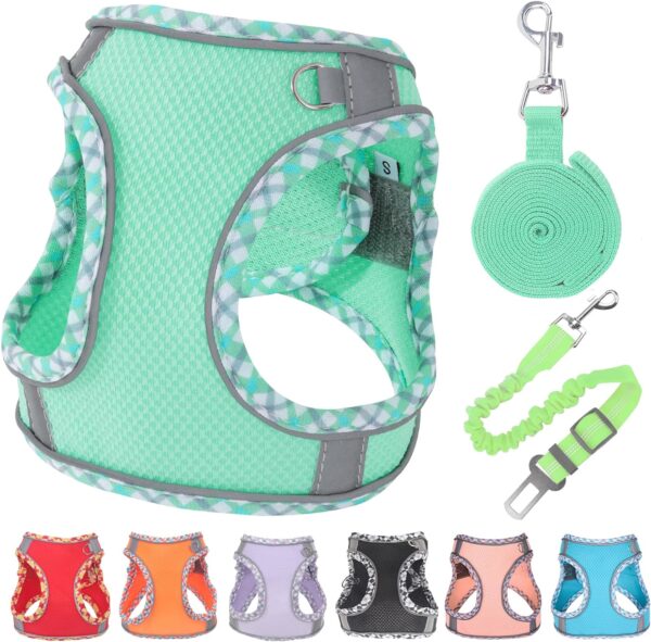 Dog Harness for Small Dogs Leashes Set,Soft No Pull Adjustable Breathable Mesh Leash and Harness Vest Belt for Puppy,Small,Medium Dogs and Cats(XXS-GN)