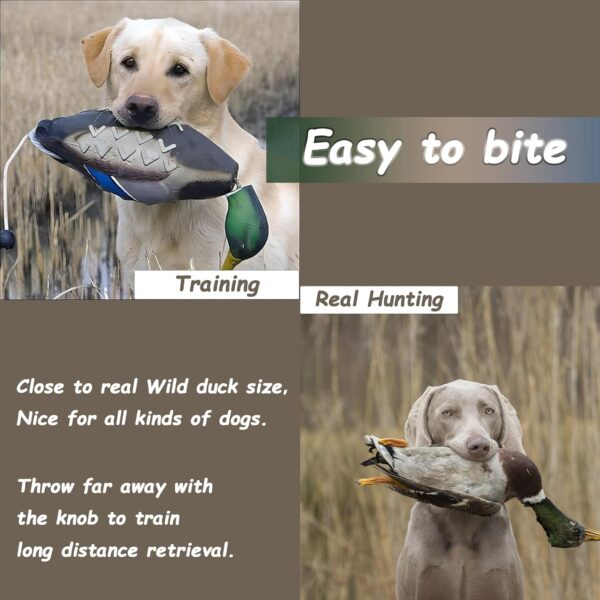 2 Pcs Duck Dummy Bumper Toys for Hunting Retriever Dog Training, Dog Retriever Outdoor Training Toy Duck，Hunting Duck Recognition Trainers, Foam Pet Dog Interactive Toys - Image 4