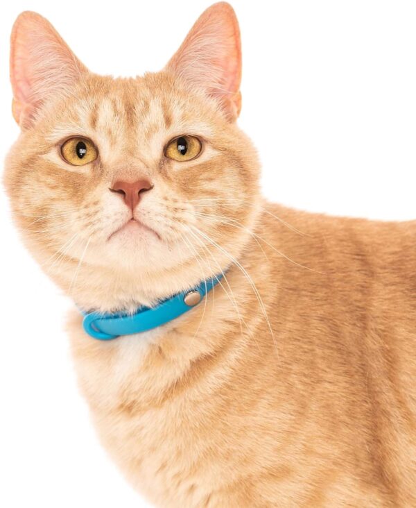 Comfortable, Soft and Light Cat Collar with Breakaway Snap Button (Blueberry Blue) - Image 5