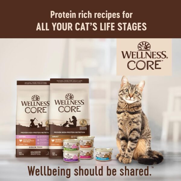 Wellness CORE High Protein Grain-Free Adult Dry Cat Food, Original Formula Turkey, Turkey Meal & Chicken Recipe, 11 Pound Bag - Image 8