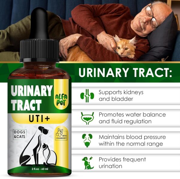 Dog Urinary Tract Infection Treatment • Cat Treatment for UTI • Kidney Support for Dogs • Dog UTI Treatment • Feline UTI Treatment • Dog Kidney Support • Kidney Support for Cats - Image 3