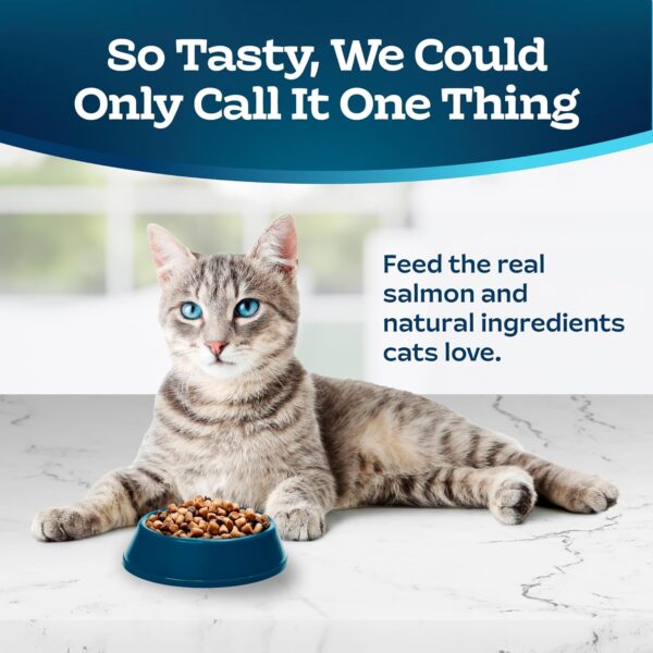 Blue Buffalo Tastefuls Adult Dry Cat Food Sensitive Stomach Formula, Made in the USA with Natural Ingredients, Chicken Recipe, 7-lb. Bag - Image 3