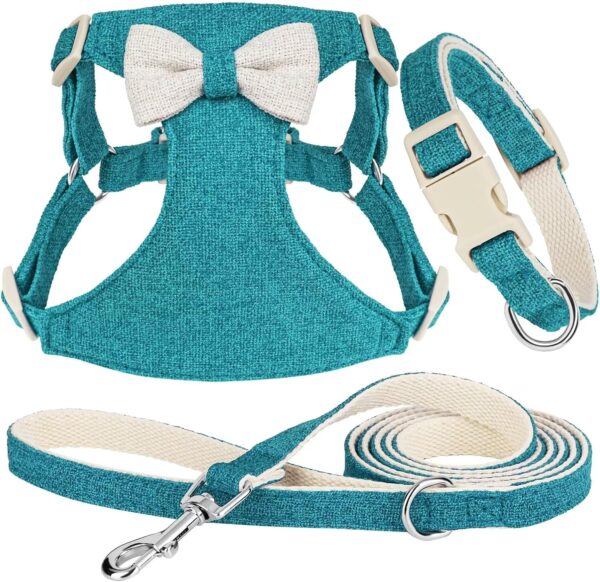 Didog Small Dog Harness Collar and Leash Set, Adjustable Lightweight Vest Harness with Cotton Soft Mesh for Small Dogs, Cats (Blue, XS)