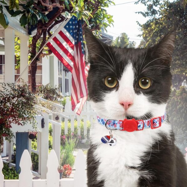 Breakaway Cat Collars with Bell & Cute Pendants - 3 Pack American Flag Adjustable Safety Kitten Collars for Girl Boy Cats Puppy and Small Pets - Image 6