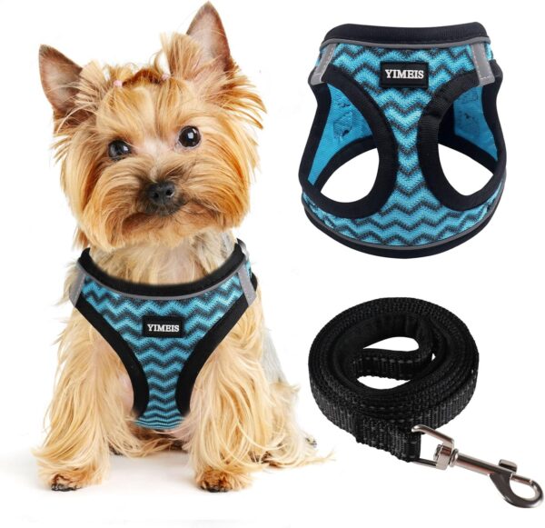 Dog Harness (XS, Blue) for Small Dogs, Lightweight Harness & Leash Set, Adjustable, Reflective, Breathable, 360°Visibility, Playful Style