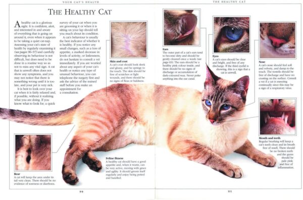 Complete Cat Care Manual: The Essential, Practical Guide to All Aspects of Caring for Your Cat - Image 5